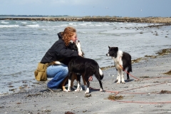 Kinvara Collies