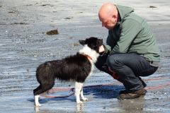 Kinvara Collies