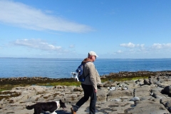 Kinvara Collies