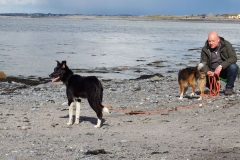 Kinvara Collies