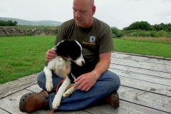 Kinvara Collies